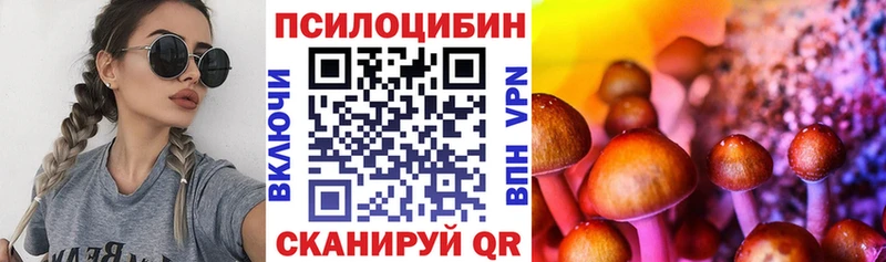 darknet клад Мышкин Галлюциногенные грибы прущие грибы где купить наркотик